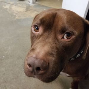 Meet your Posher, Mark